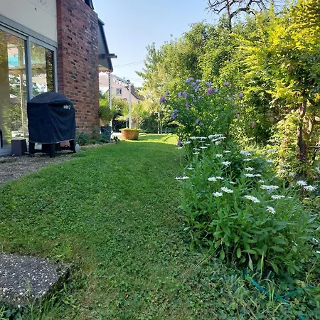 Avec Piscine En Alsace *