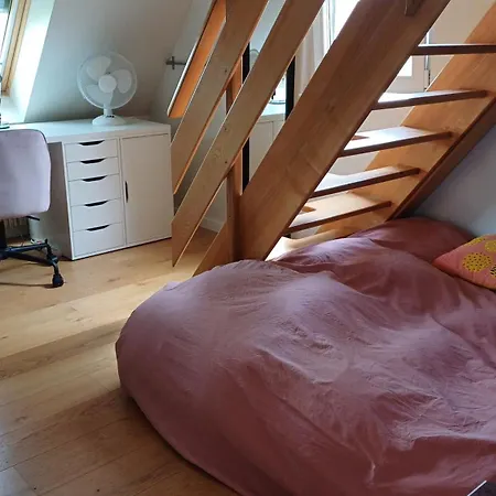 Βίλα Avec Piscine En Alsace Eschau