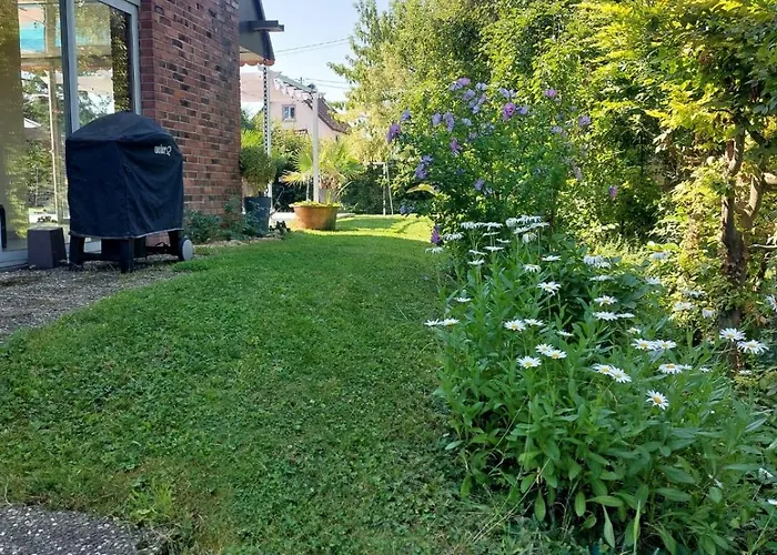 Avec Piscine En Alsace *