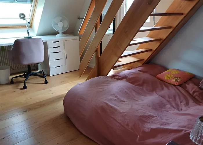 Villa Avec Piscine En Alsace Eschau