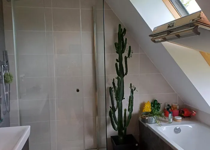 Avec Piscine En Alsace *